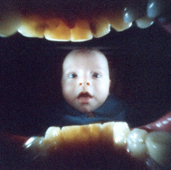 Michael Seyer - Boylife